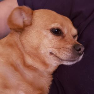 Meet your Posher, Teresa